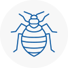 Bed Bug Extermination In Rochford