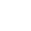 Domestic Ant Control For Rochford
