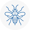 Rochford Hornet Nest Removals