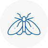 Moth Control Specialists In Rochford