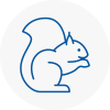 Rochford Rodent Removals