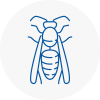 Rochford Wasp Nest Removal